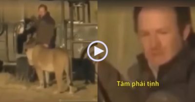 Video: Người đàn ông ‘hóa đá’ khi sư tử đi ngang qua
