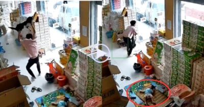 Video: Cha nhanh chóng túm lấy chân con chó xách ra ngoài để bảo vệ con