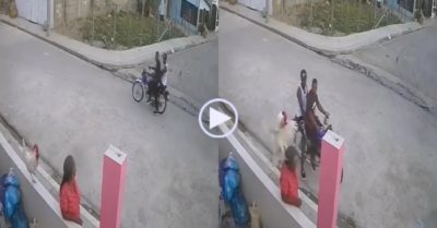 Video: Gà trống nhảy lên cảnh báo cướp cho người phụ nữ