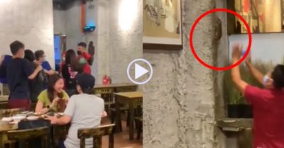 Video: Nhân viên quán ăn lao ra tóm gọn chuột nhanh như chớp