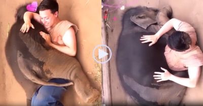 Video: Voi con đè lên người, ôm ấp không muốn xa chàng trai