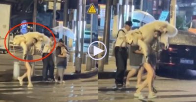 Video: Cô chủ vác cún cưng lên vai chạy tránh mưa