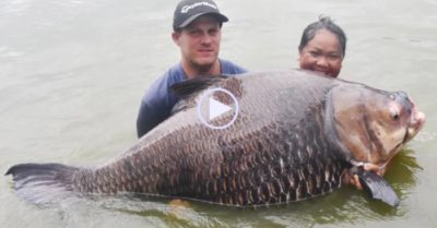 Video: Đi du lịch thư giãn, người đàn ông câu được cá chép ‘khổng lồ’ nặng 114 kg