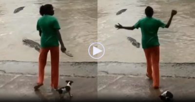 Video: Người phụ nữ dùng dép lê xua đuổi cá sấu