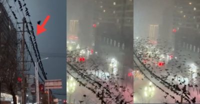 Người dân ghi được cảnh tượng kỳ lạ trước trận động đất làm hơn 100 người chết ở Trung Quốc