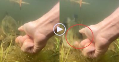 Video: Người đàn ông dùng ngón tay làm mồi nhử cá và cái kết bất ngờ