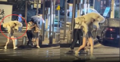 Video: Cô chủ vác cún cưng chạy qua đường tránh mưa