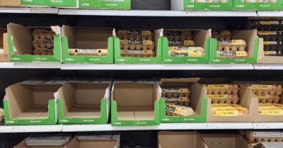 Giá trứng tại Úc tăng vọt do cúm gia cầm và chuyển đổi chăn nuôi