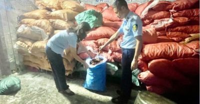 Chống buôn lậu, hàng giả ngày 27-5: Gần 10 tấn chân gà không rõ nguồn gốc bị tạm giữ