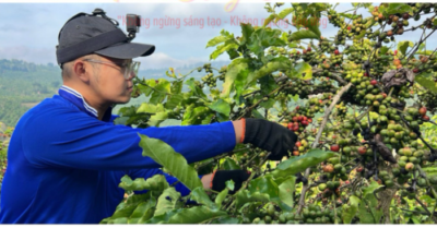 Khởi tố chủ thương hiệu cà phê Dạ Thảo: Cảnh báo thủ đoạn pha trộn và cách nhận biết cà phê giả