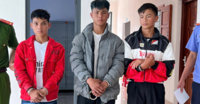 Trộm 273 gốc sâm Ngọc Linh gây thiệt hại tại Đà Nẵng