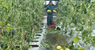 Hành động ấn tượng của UBND xã Thần Lĩnh