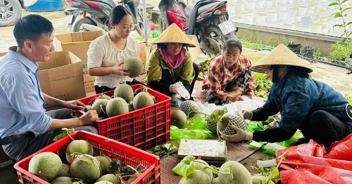 Hành động ấn tượng