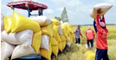 Thần tốc’ xuất khẩu gạo: Xây dựng thương hiệu quốc gia, giữ vững vị trí top 2 thế giới