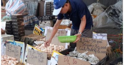 Giá trứng gà tăng gấp đôi, nông dân lãi tiền triệu mỗi ngày