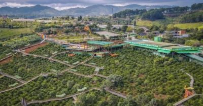 Ly cà phê 110.000 đồng ở Mê Linh Coffee Garden có bất thường?
