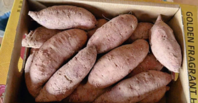 Vì sao khoai lang sầu riêng Trung Quốc giá 160.000 đồng/kg gây sốt?