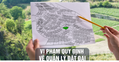 Ký giấy cho mua bán đất rừng Sóc Sơn, loạt cựu cán bộ Hà Nội hầu tòa