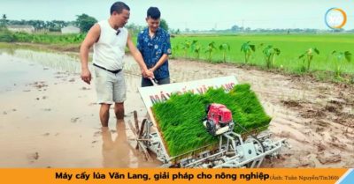 Máy cấy lúa Văn Lang – một ngày thay sức hàng chục nhân công