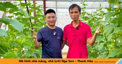 Nhà màng nhà lưới – gian nan khởi nghiệp