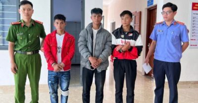 Truy tìm kẻ trộm hơn 270 gốc sâm Ngọc Linh