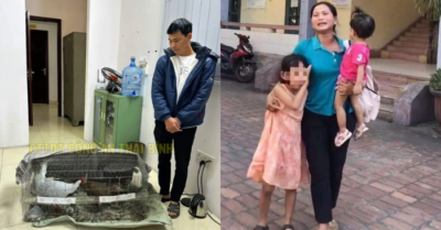 Luật sư Hà Nội nhận bào chữa miễn phí cho người bị 6 năm tù vì buôn bán gà lôi trắng