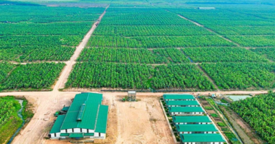 Nhiều doanh nghiệp tên tuổi bị nghi ngờ khả năng hoạt động liên tục
