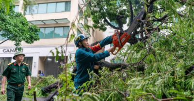 Hà Nội chặt hạ hơn 2.600 cây xanh làm nút giao Vành đai 3,5