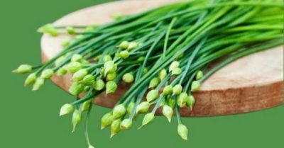 Loại rau dân dã mang hương vị mùa thu, tốt cho gan và da