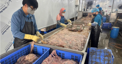 Hàng chục tấn lòng lợn cấp đông nhiều tháng không rõ xuất xứ