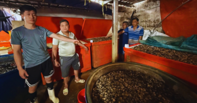 TP.HCM: Phát hiện cơ sở dùng hóa chất công nghiệp ngâm 3.000 tấn ốc bươu