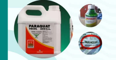 Mỹ rà soát lại mức độ an toàn của thuốc diệt cỏ paraquat