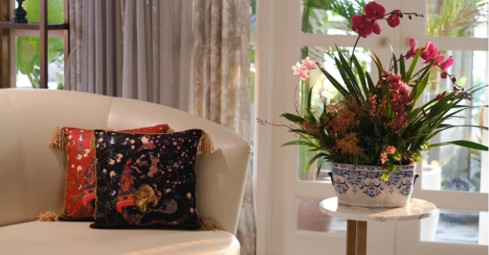 Cách bài trí lan hồ điệp