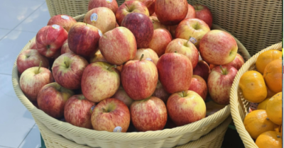 Thời điểm ăn trái cây để tối ưu hóa sức khỏe và năng lượng