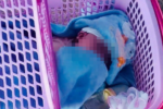 Bé trai bị bỏ rơi tại Gia Lai cùng tâm thư của người mẹ