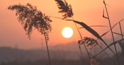 Thay đổi vận mệnh qua hành trình vị tha của người hành khất