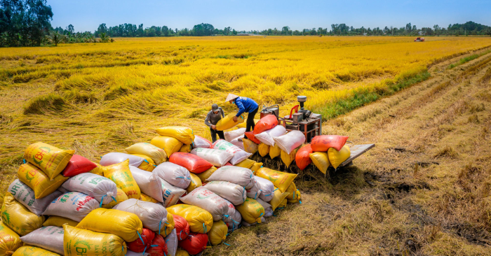 Xuất khẩu gạo: Việt Nam hướng tới mục tiêu 5 tỷ USD năm 2026