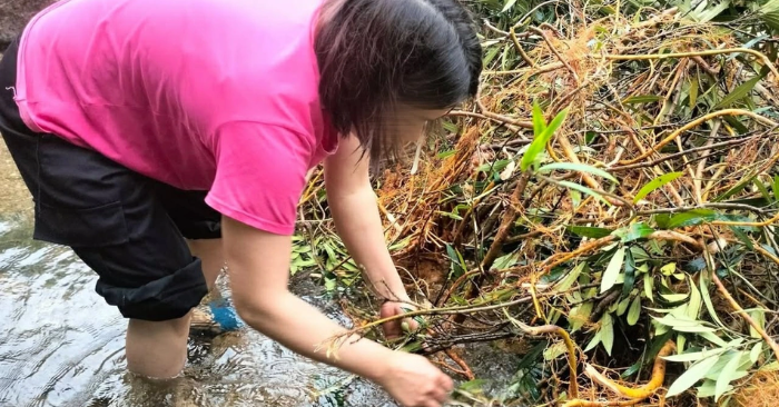 Cán bộ không chuyên trách chật vật tìm việc làm sau khi rời chính quyền cơ sở xã