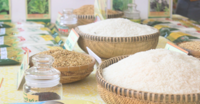 Chế biến nông sản: Việt Nam tăng nhập gạo và nguyên liệu thô
