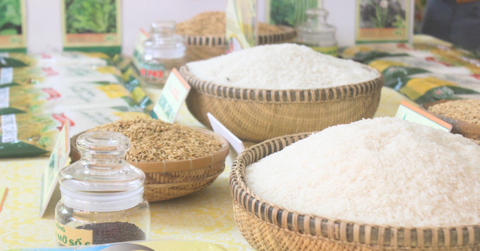 Chế biến nông sản: Việt Nam tăng nhập gạo và nguyên liệu thô