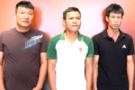 Dịch tả heo châu Phi: Ba người bị khởi tố vì bán heo bệnh tại Thanh Hóa