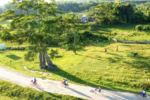 Sáp nhập thôn – Việt Nam nỗ lực tinh gọn bộ máy cơ sở trước tháng 7