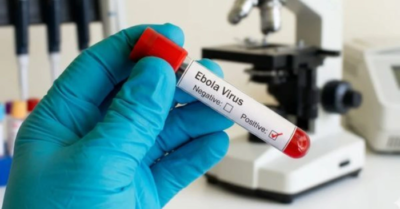 Dịch bệnh Ebola: Việt Nam khẩn trương triển khai biện pháp ngăn chặn virus xâm nhập