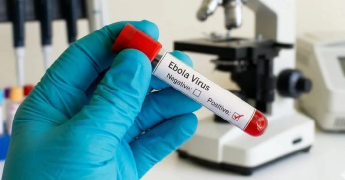 Dịch bệnh Ebola: Việt Nam khẩn trương triển khai biện pháp ngăn chặn virus xâm nhập