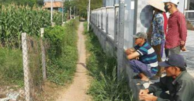 Bi kịch gia đình: Khi tình thân gục ngã trước lòng tham