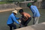Trượt chân xuống kênh khi đi câu cá tại Nghệ An anh tử vong thương tâm dù em trai nỗ lực gọi người cứu