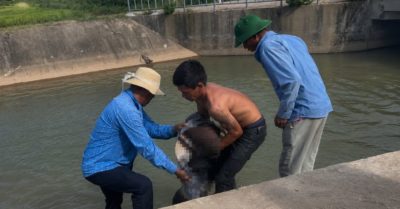 Trượt chân xuống kênh khi đi câu cá tại Nghệ An anh tử vong thương tâm dù em trai nỗ lực gọi người cứu