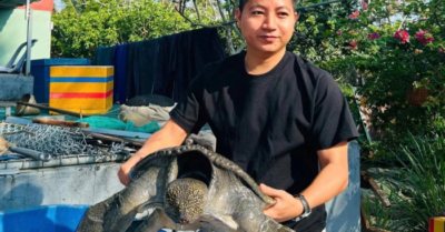 Chàng trai Cần Thơ thành công nhờ mô hình nuôi cua đinh
