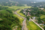 Săn mật ong rừng ở Thanh Hóa: Thu nhập tiền triệu mỗi ngày từ “lộc trời”
