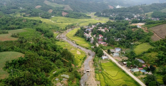 săn mật ong rừng